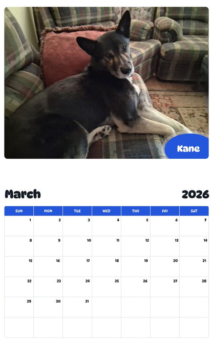 November 2025 - October 2026 Kane - Pawidols Pet Calendar