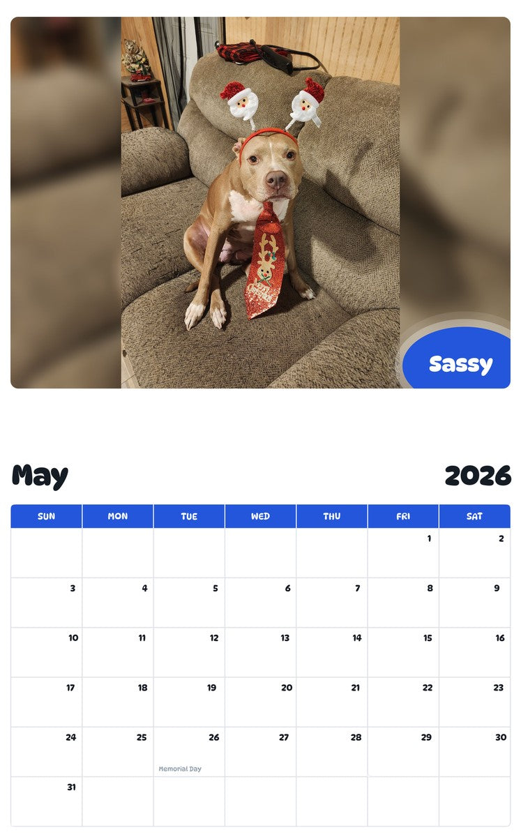 2026 - 2027 Sassy - Pawidols Pet Calendar