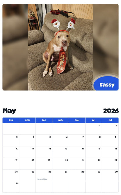 2026 - 2027 Sassy - Pawidols Pet Calendar