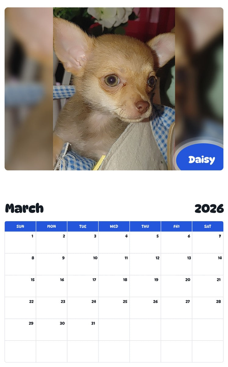 November 2025 - October 2026 Daisy - Pawidols Pet Calendar