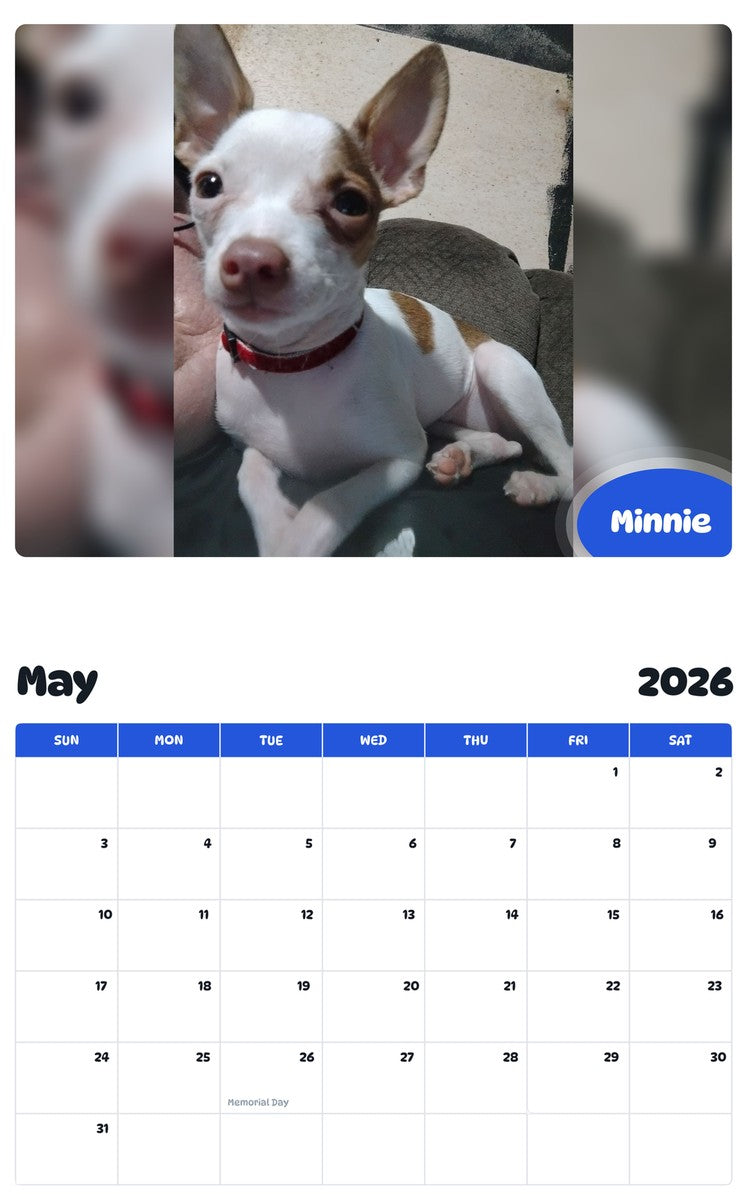 2026 - 2027 Minnie - Pawidols Pet Calendar
