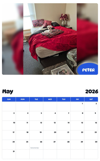2026 - 2027 PETER - Pawidols Pet Calendar