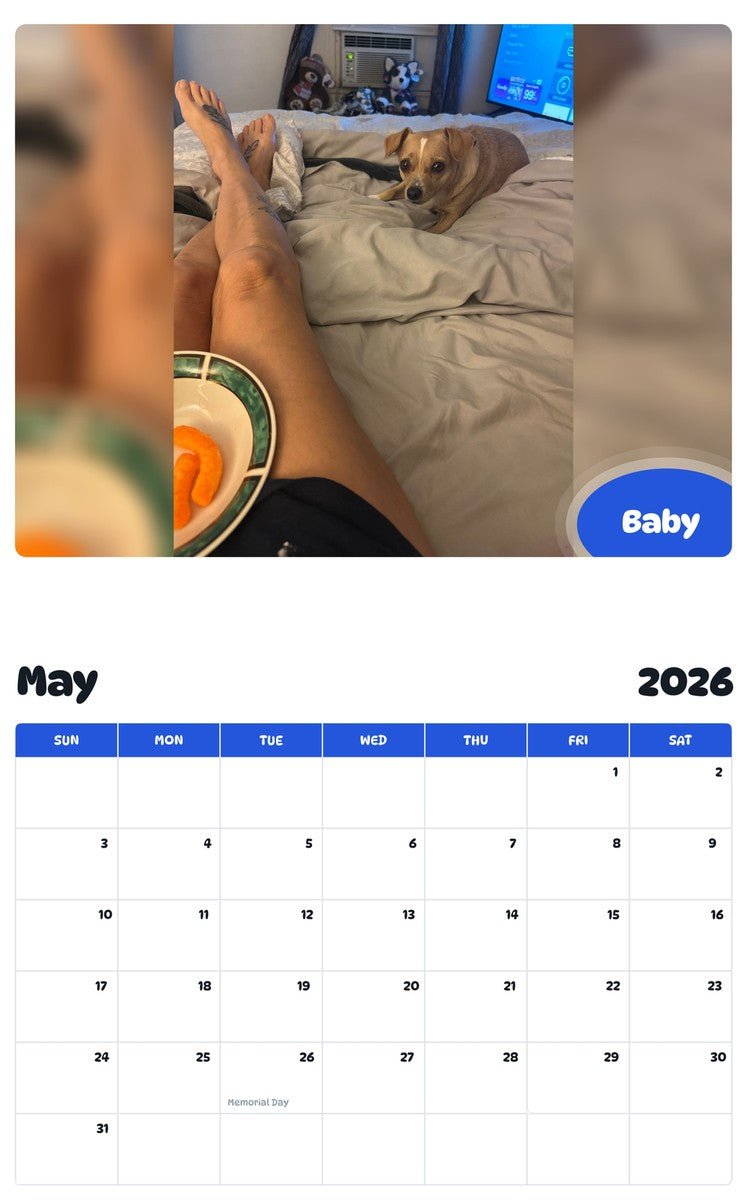 2026 - 2027 Baby - Pawidols Pet Calendar