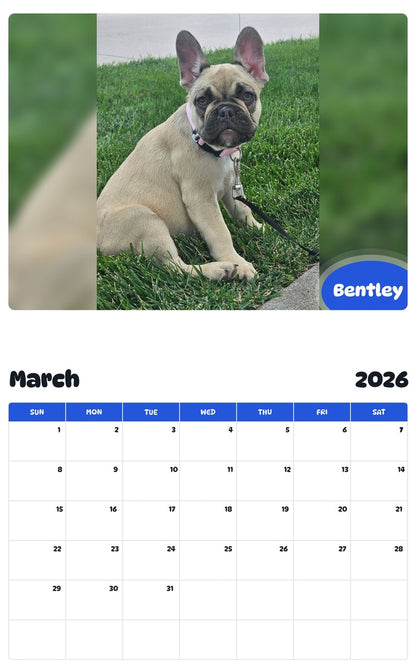 November 2025 - October 2026 Bentley - Pawidols Pet Calendar