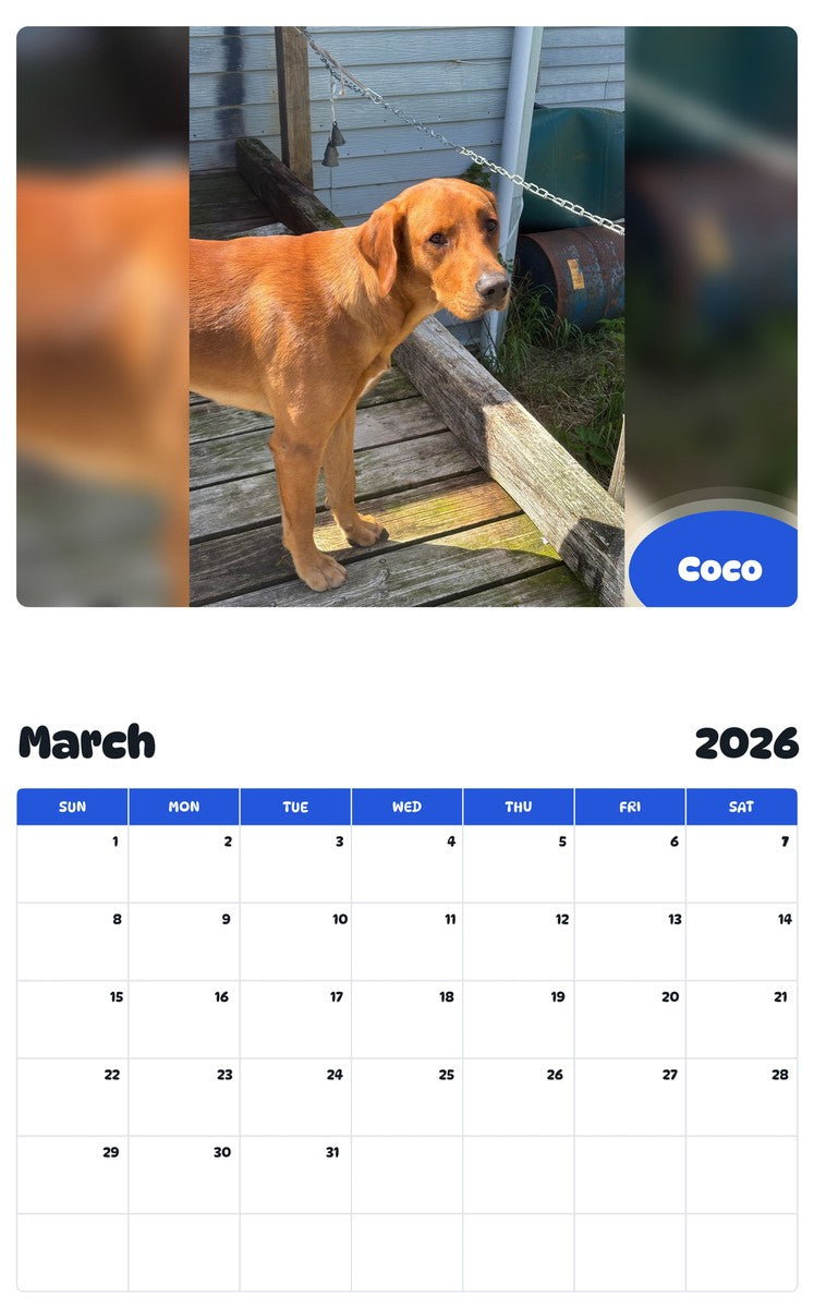 November 2025 - October 2026 Coco - Pawidols Pet Calendar