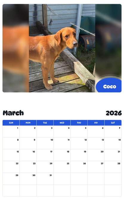 November 2025 - October 2026 Coco - Pawidols Pet Calendar
