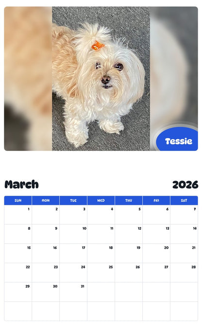 November 2025 - October 2026 Tessie - Pawidols Pet Calendar