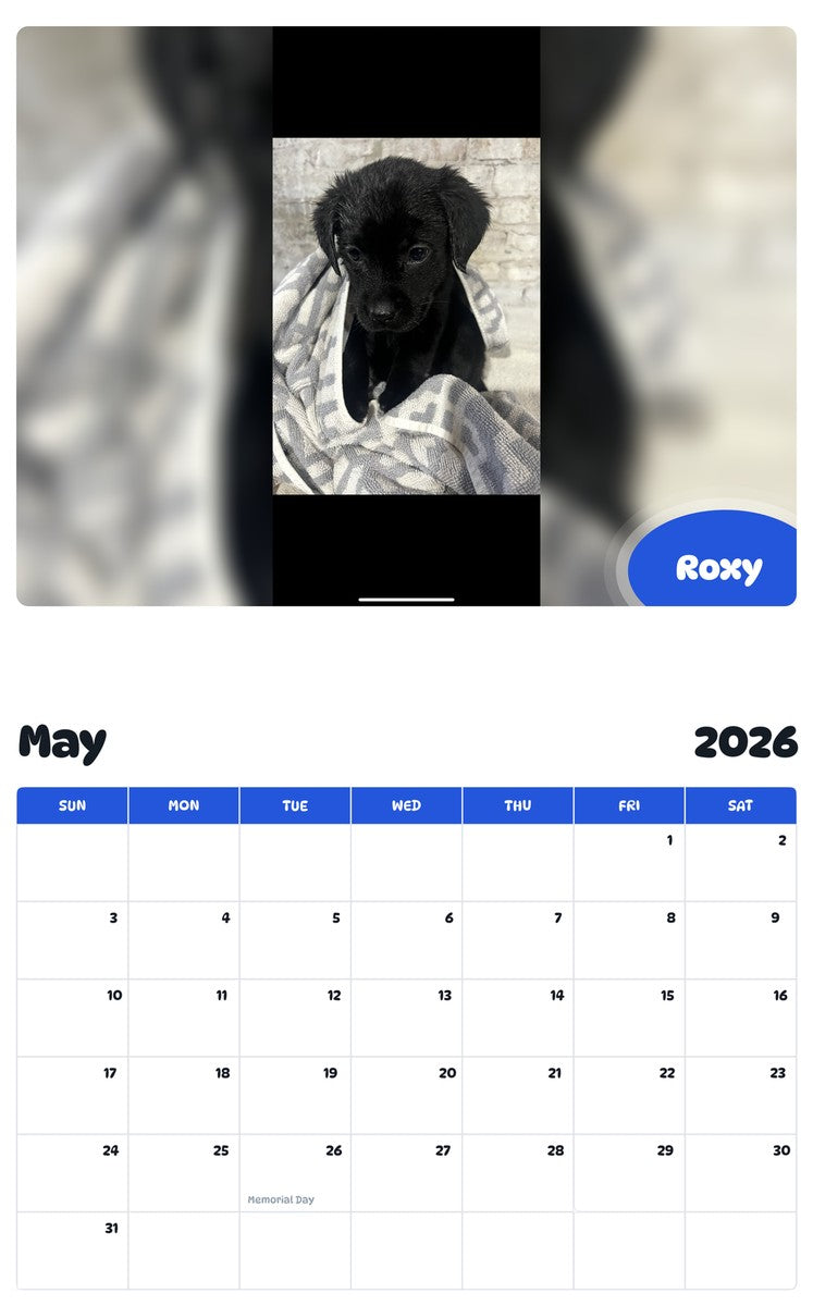 2026 - 2027 Roxy - Pawidols Pet Calendar