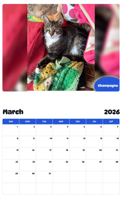 November 2025 - October 2026 Champagne - Pawidols Pet Calendar
