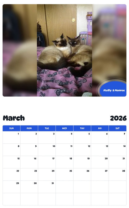 November 2025 - October 2026 Fluffy  & Monroe - Pawidols Pet Calendar