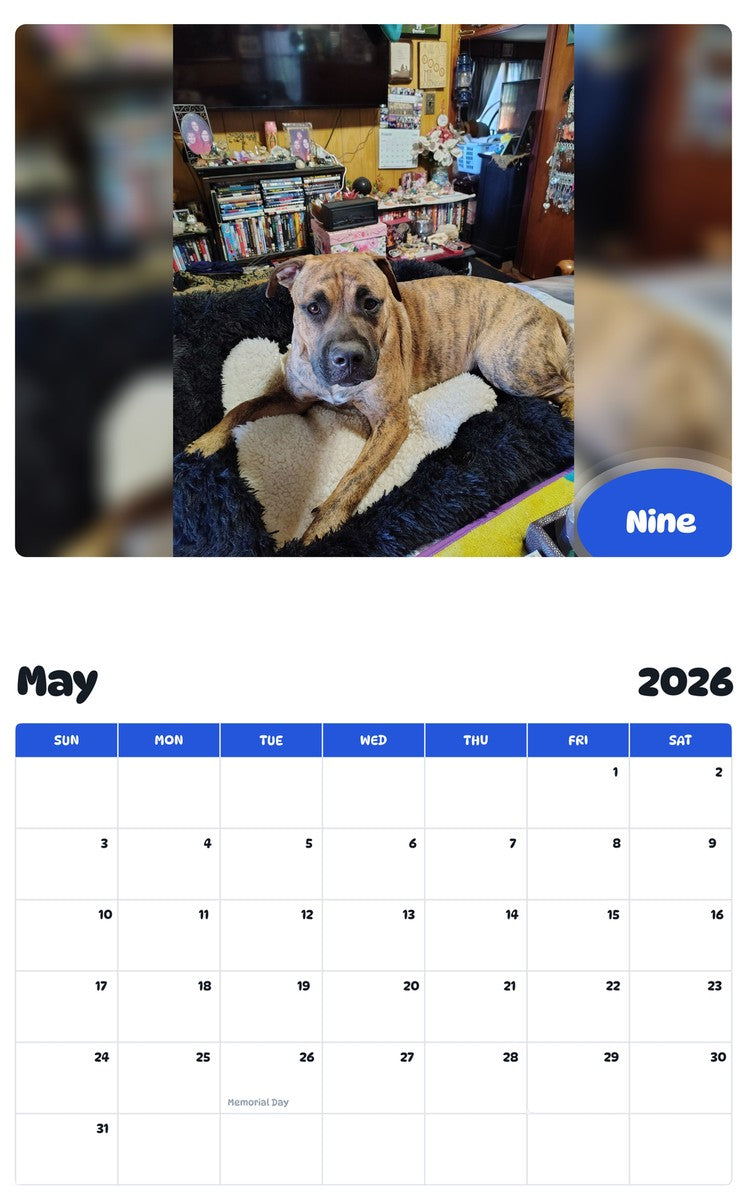 2026 - 2027 Nine - Pawidols Pet Calendar