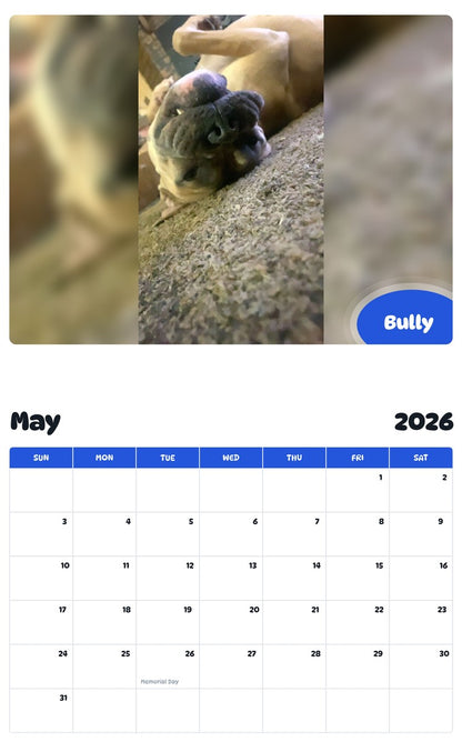 2026 - 2027 Bully - Pawidols Pet Calendar
