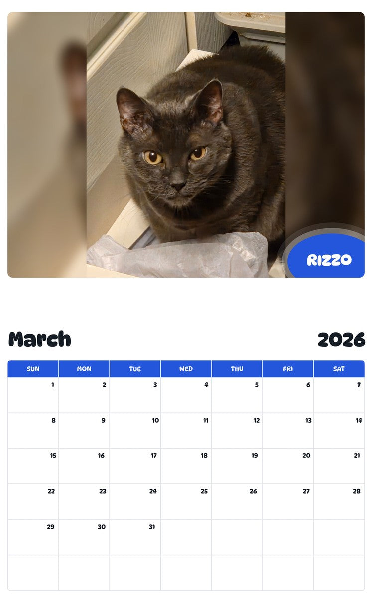 November 2025 - October 2026 RIZZO - Pawidols Pet Calendar