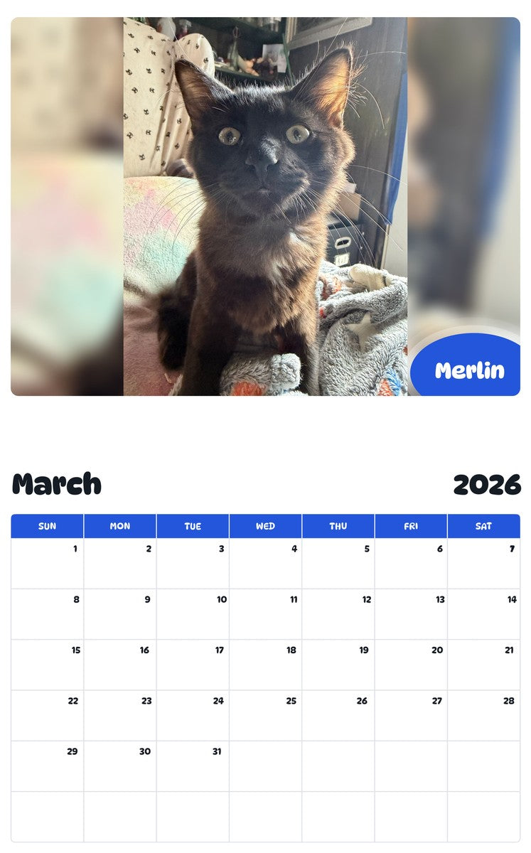 November 2025 - October 2026 Merlin - Pawidols Pet Calendar