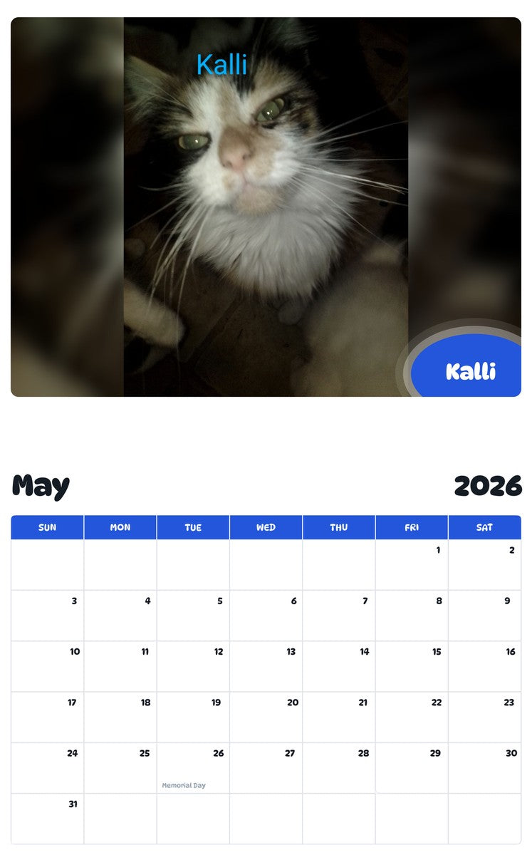 2026 - 2027 Kalli - Pawidols Pet Calendar