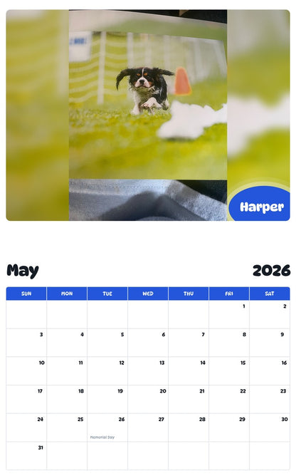 2026 - 2027 Harper - Pawidols Pet Calendar