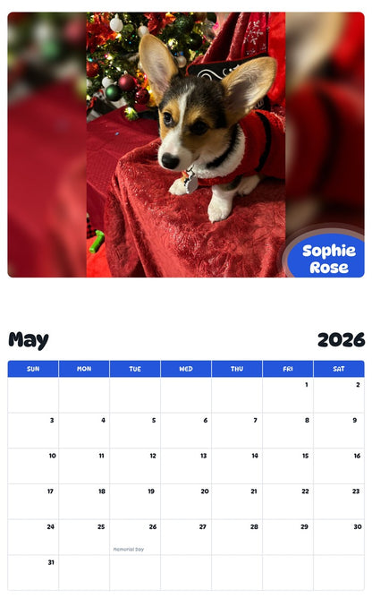 2026 - 2027 Sophie Rose - Pawidols Pet Calendar
