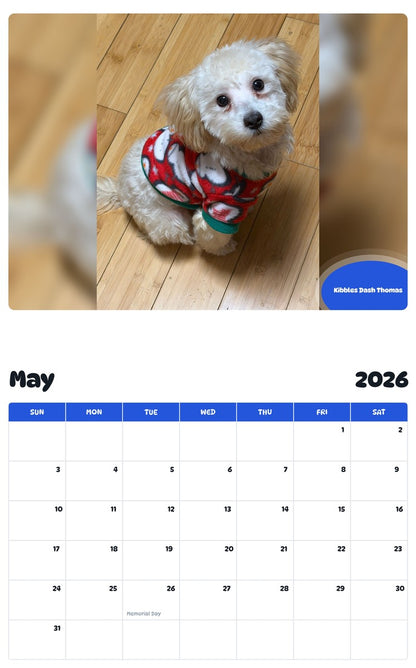 2026 - 2027 Kibbles Dash Thomas - Pawidols Pet Calendar