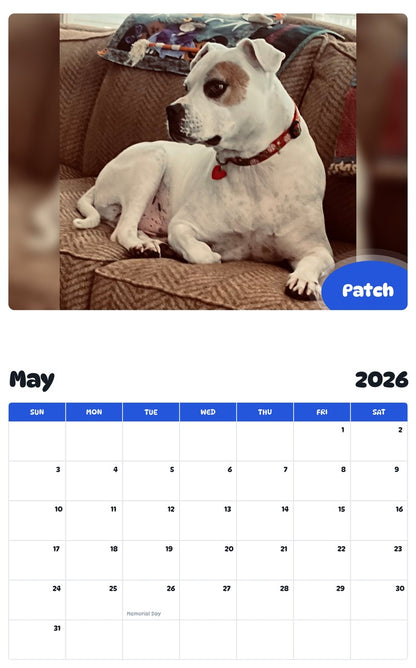 2026 - 2027 Patch - Pawidols Pet Calendar