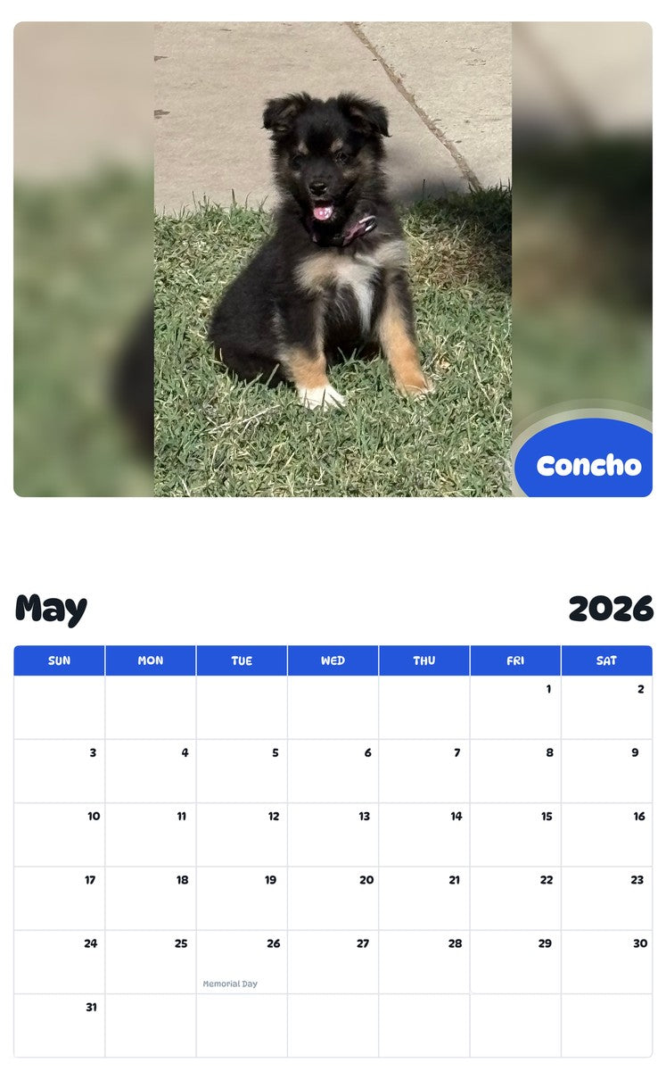 2026 - 2027 Concho - Pawidols Pet Calendar