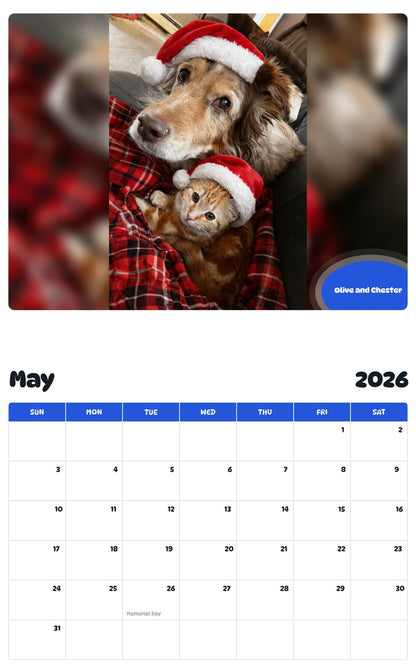 2026 - 2027 Olive and Chester - Pawidols Pet Calendar