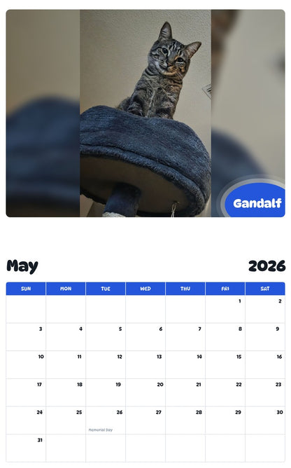 2026 - 2027 Gandalf - Pawidols Pet Calendar