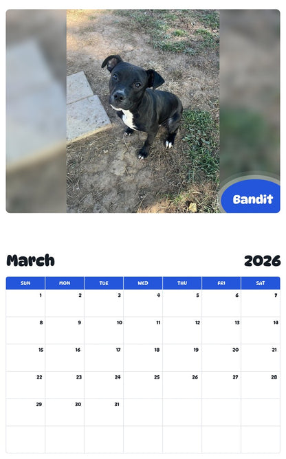 November 2025 - October 2026 Bandit - Pawidols Pet Calendar