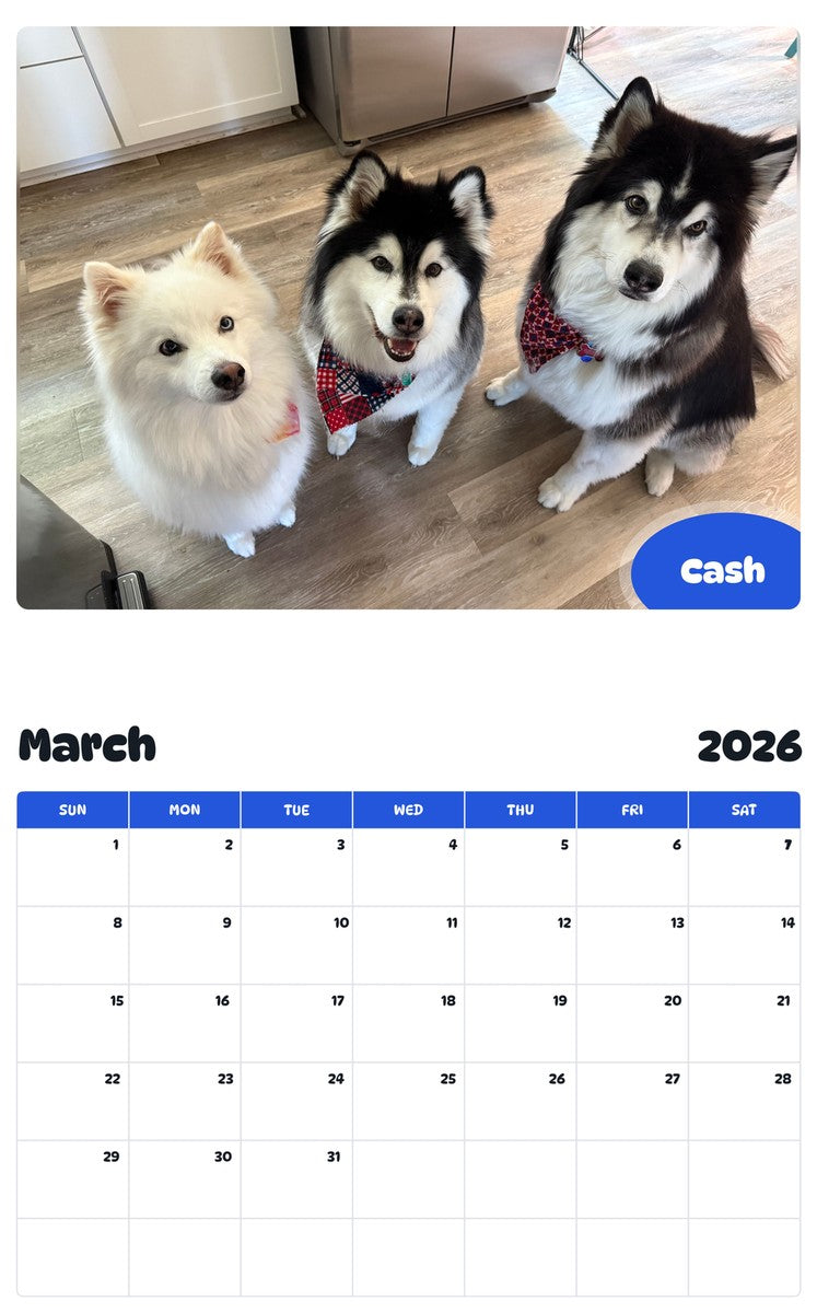 November 2025 - October 2026 Cash - Pawidols Pet Calendar