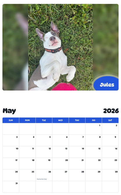 2026 - 2027 Jules - Pawidols Pet Calendar