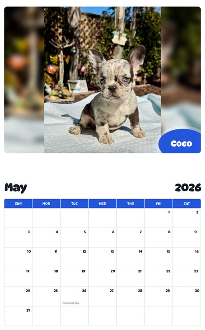 2026 - 2027 Coco - Pawidols Pet Calendar