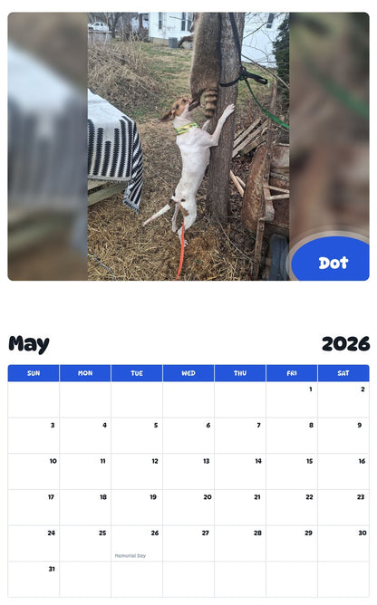 2026 - 2027 Dot - Pawidols Pet Calendar