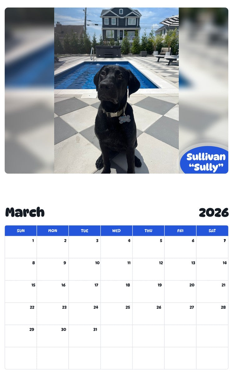 November 2025 - October 2026 Sullivan “Sully” - Pawidols Pet Calendar