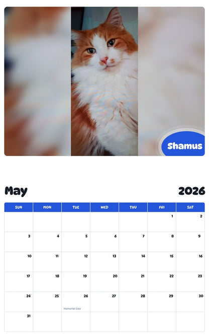 2026 - 2027 Shamus - Pawidols Pet Calendar