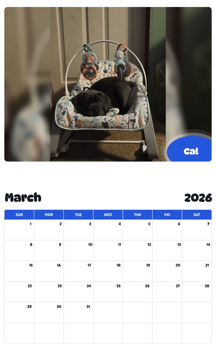 November 2025 - October 2026 Cal - Pawidols Pet Calendar