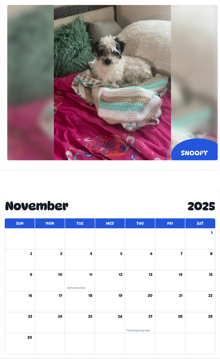 July 2025 - June 2026 Snoopy - Pawidols Pet Calendar