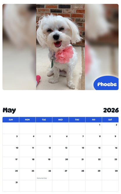 2026 - 2027 Phoebe - Pawidols Pet Calendar