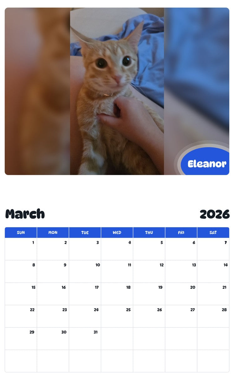 November 2025 - October 2026 Eleanor - Pawidols Pet Calendar
