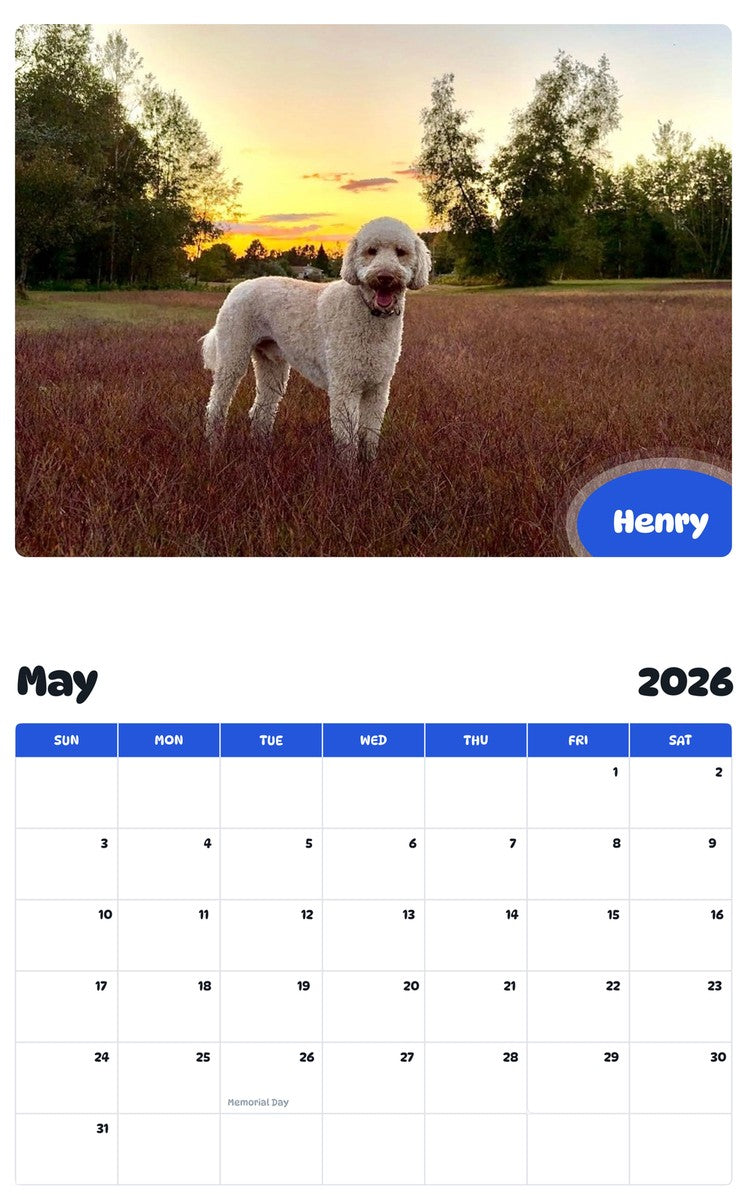 2026 - 2027 Henry - Pawidols Pet Calendar
