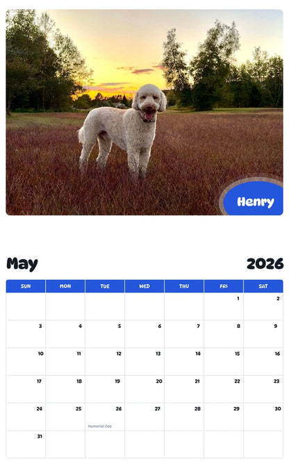 2026 - 2027 Henry - Pawidols Pet Calendar