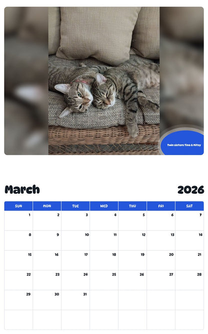 November 2025 - October 2026 Twin sisters Tina & Mitsy - Pawidols Pet Calendar