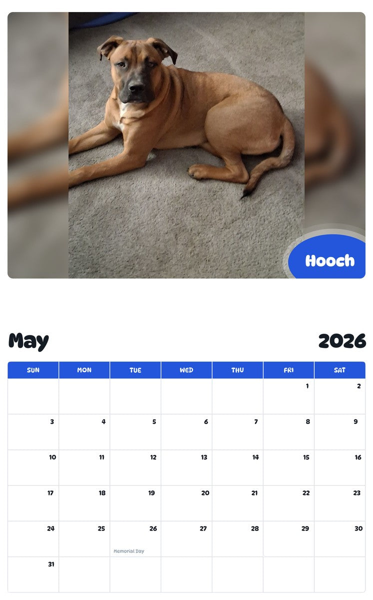 2026 - 2027 Hooch - Pawidols Pet Calendar