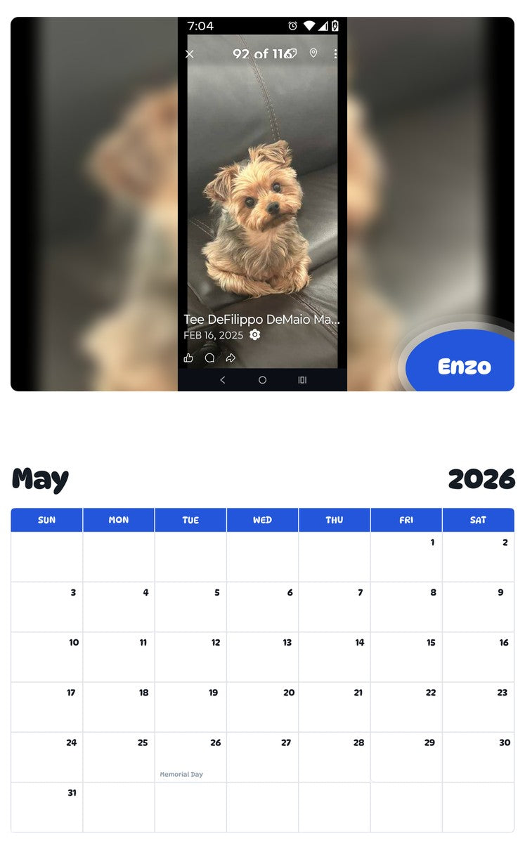 2026 - 2027 Enzo - Pawidols Pet Calendar