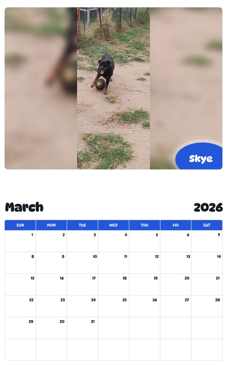 November 2025 - October 2026 Skye - Pawidols Pet Calendar