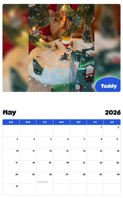 2026 - 2027 Teddy - Pawidols Pet Calendar