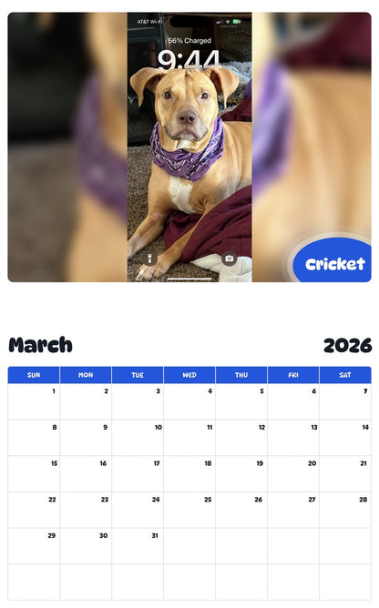 November 2025 - October 2026 Cricket - Pawidols Pet Calendar