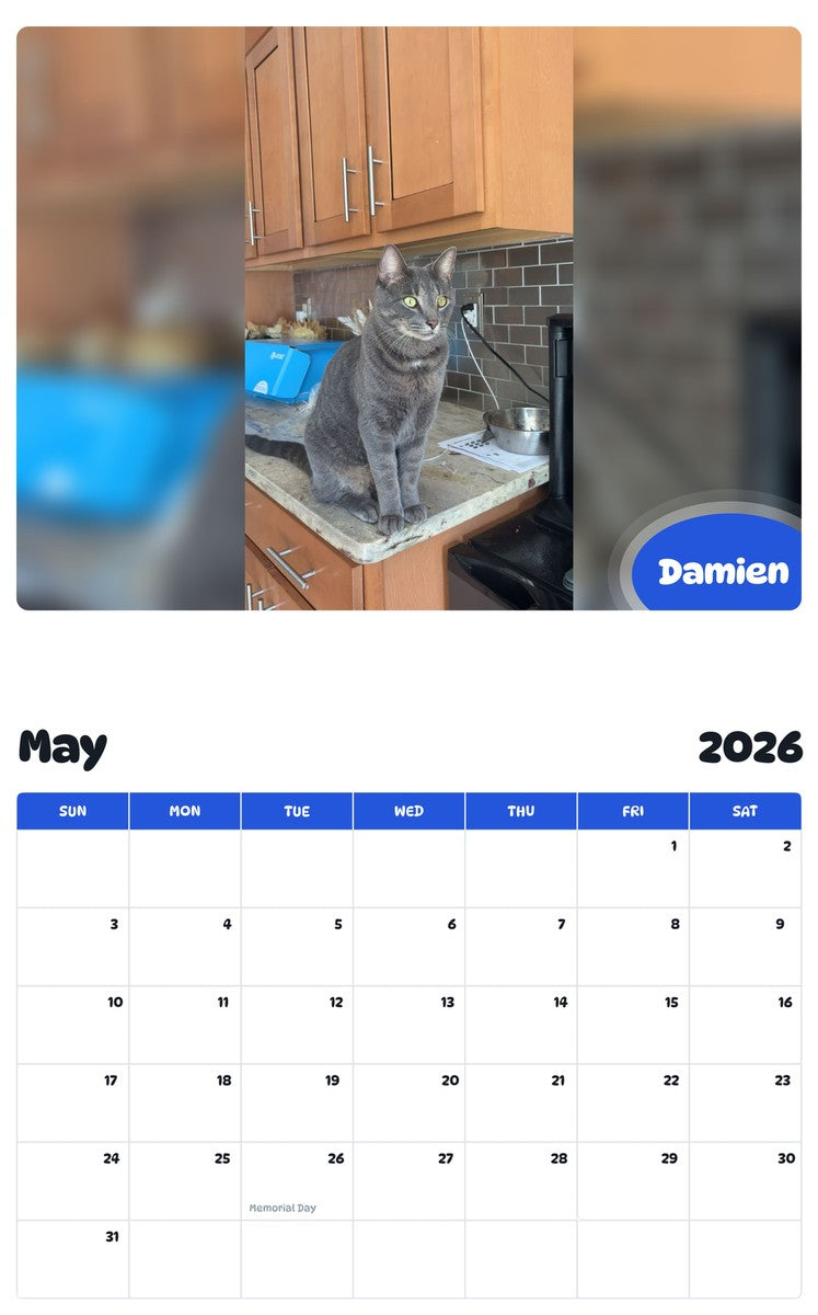 2026 - 2027 Damien - Pawidols Pet Calendar