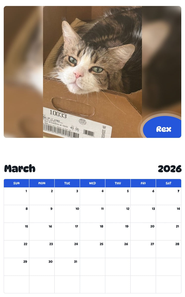 November 2025 - October 2026 Rex - Pawidols Pet Calendar