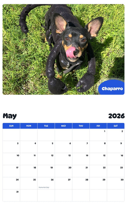 2026 - 2027 Chaparro - Pawidols Pet Calendar