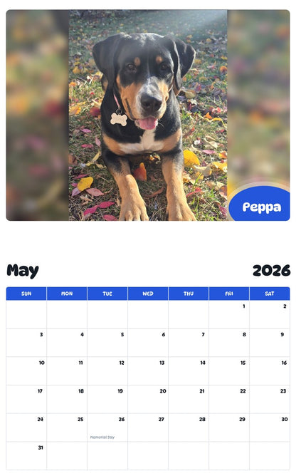 2026 - 2027 Peppa - Pawidols Pet Calendar