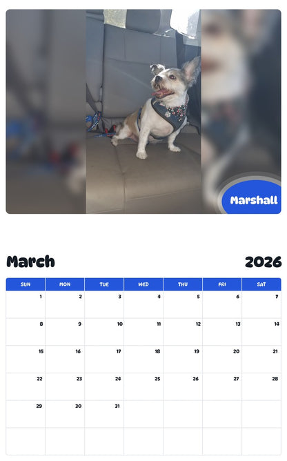 November 2025 - October 2026 Marshall - Pawidols Pet Calendar